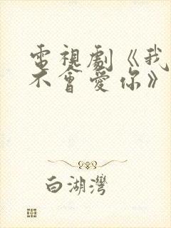 电视剧《我可能不会爱你》