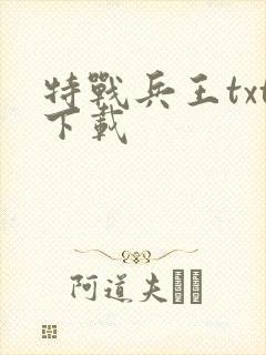 特战兵王txt下载