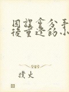 因误会分手多年后重逢的小说封面