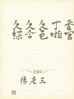 久久久丁香婷婷综合色啪官网封面