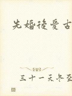 先婚后爱古言h