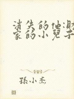 消失的他:财阀家的小儿子