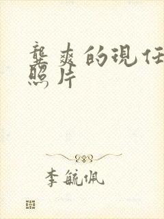 龚爽的现任丈夫照片