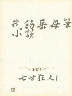 我的岳母笔趣阁小说