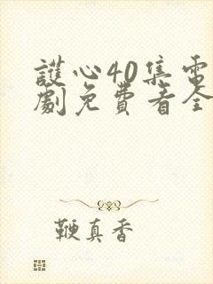 护心40集电视剧免费看全集