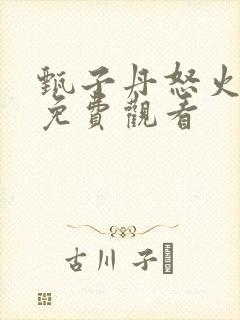 甄子丹怒火重案免费观看