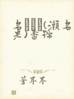 名ひかり(濑名光)番号