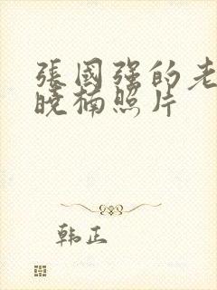 张国强的老婆王晓楠照片封面