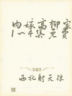 肉嫁高柳家动漫1~4集免费观看第一集