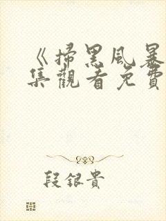 《扫黑风暴》全集观看免费高清