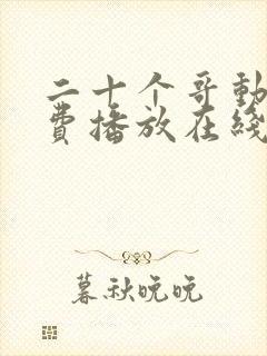 二十个哥动漫免费播放在线观看