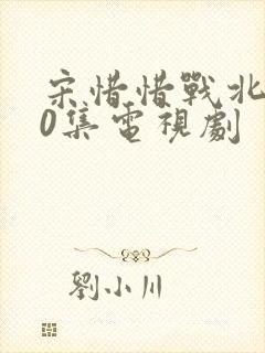 宋惜惜战北望40集电视剧