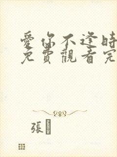 爱你不逢时短剧免费观看完整版