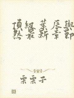 顶级叶辰与萧初然最新章节封面