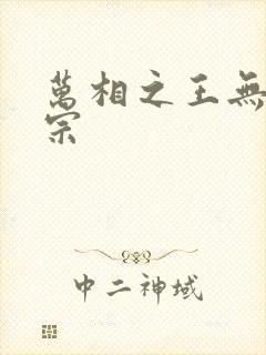 万相之王无相圣宗