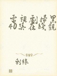 电视剧扫黑风暴40集在线观看免费完整版v