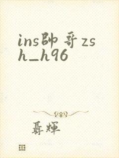 ins帅哥zsh_h96