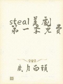 steal美剧第一季免费观看