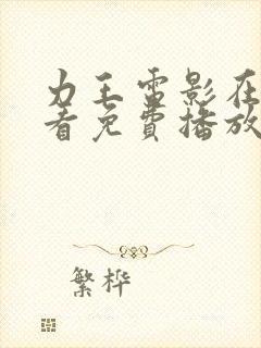 力王电影在线观看免费播放