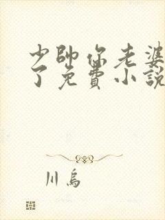 少帅你老婆又跑了免费小说