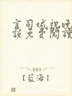 言司城祝晚之小说免费阅读最新章节