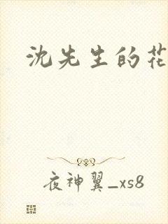 沈先生的花式