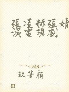 张凌赫张婧仪主演电视剧封面