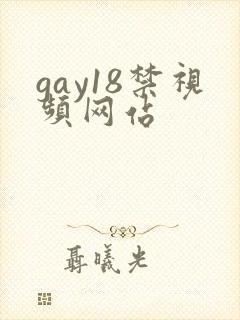 gay18禁视频网站