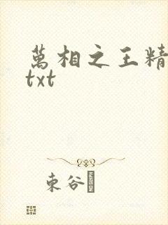 万相之王精校版txt封面
