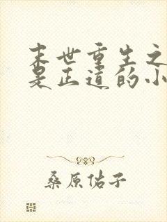 末世重生之宠妻是正道的小说