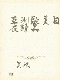 亚洲欧美日韩午夜精品