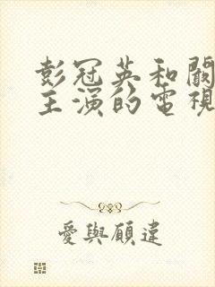 彭冠英和阚清子主演的电视剧
