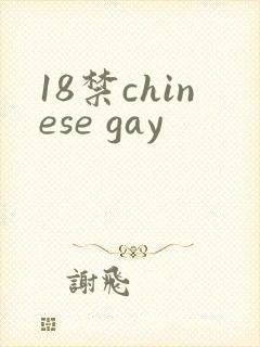 18禁chinese gay封面