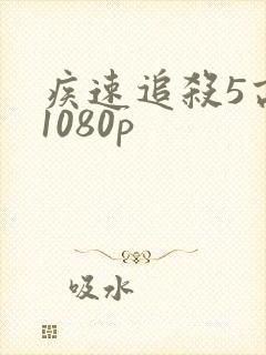 疾速追杀5高清1080p封面