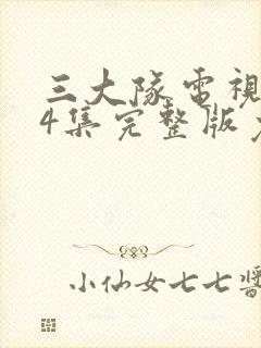 三大队电视剧24集完整版免费播放封面