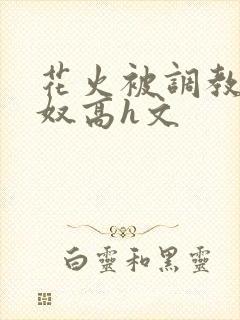 花火被调教成肉奴高h文封面