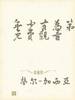 年少有为第六集免费观看封面