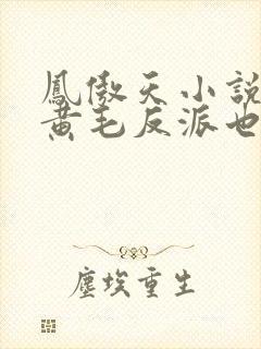 凤傲天小说里的黄毛反派也想有幸福
