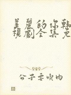 美丽的你韩剧电视剧全集免费观看