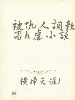 被仇人调教成禁脔h虐小说