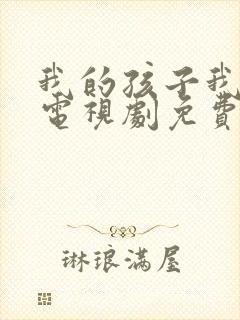 我的孩子我的家电视剧免费观看高清