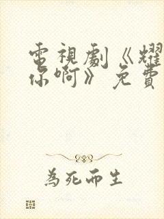 电视剧《耀眼的你啊》免费观看
