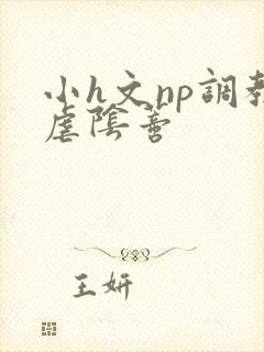 小h文np调教虐阴蒂