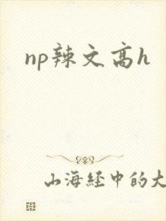 np辣文高h