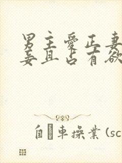 男主爱正妻却纳妾且占有欲很强宠妻
