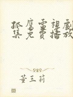 孤鹰电视剧40集免费播放