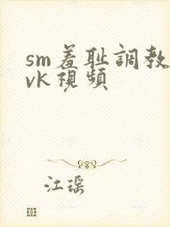 sm羞耻调教丨vk视频