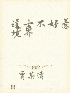 道士不好惹仙界境界