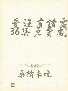 爱没有错电视剧36集免费剧情