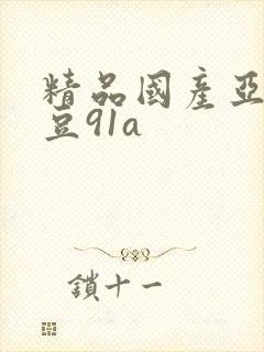 精品国产亚洲麻豆91a